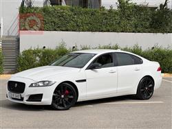 جاكوار XF